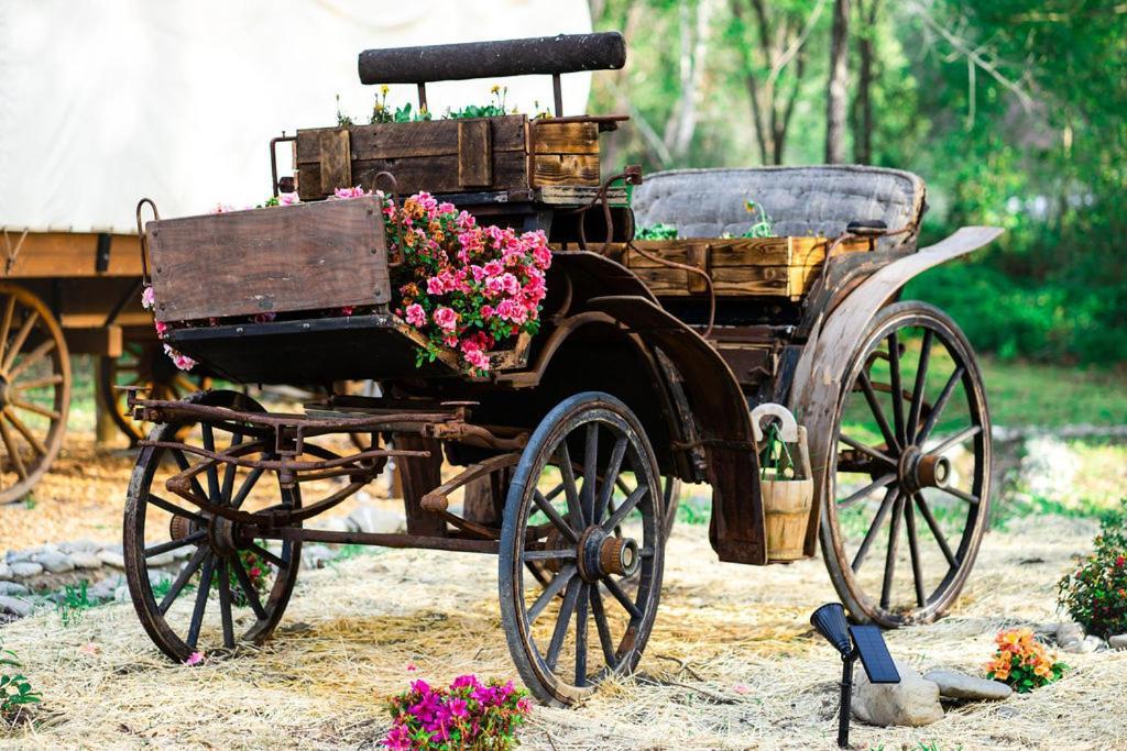 Cozy Wild West Covered Wagon Next To River Грантс Пас Екстериор снимка